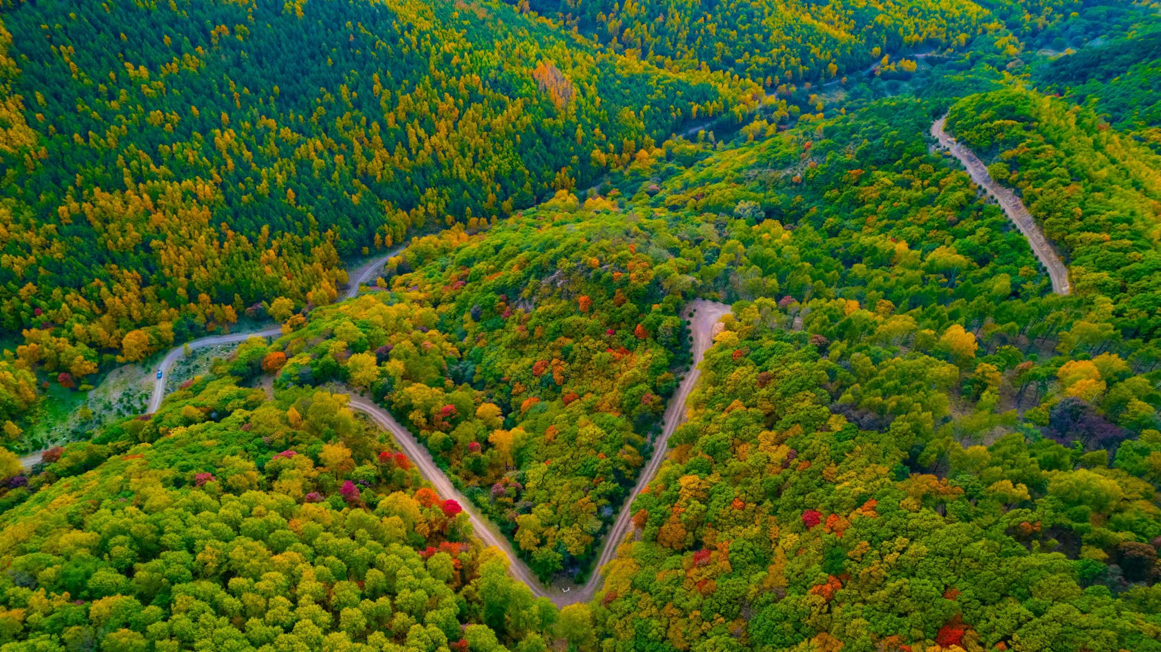 國家一號風景大道初秋景色。孫占軍 攝