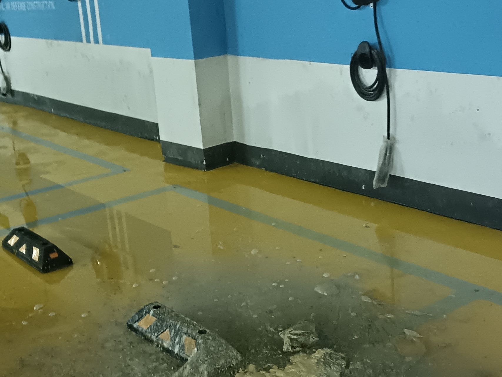 胡女士所在小區地下室積水嚴重。受訪者供圖